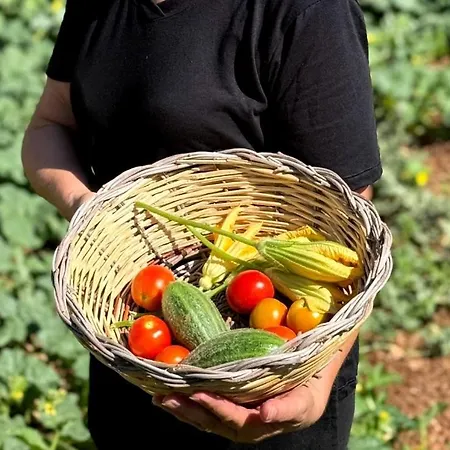 Masseria Pozzelle Farmház